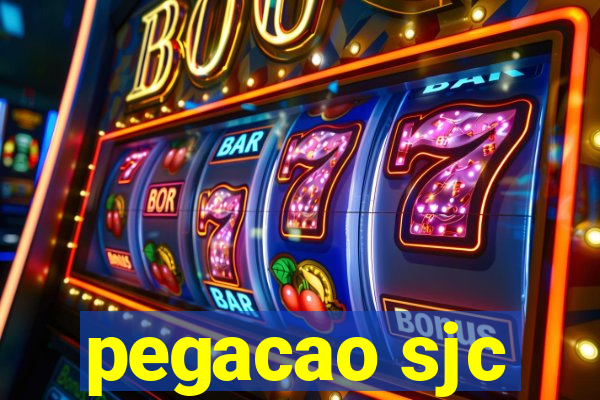 pegacao sjc